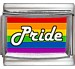 Rainbow Flag with Pride