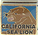 California Sea Lion