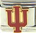 Indiana University