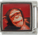 Monkey on Red