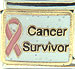 Cancer Survivor with Pink Ribbon