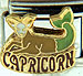 Capricorn Zodiac Dec 22-Jan 19