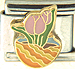 Tulip and Egg Shell