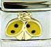 Open Wing Yellow Ladybug