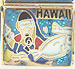 Scuba Diver with Hawaii Text