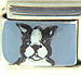 Handpainted Black and White Dog on Blue