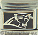 Licensed Football Carolina Panthers Logo