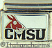 Central Missouri State Mules