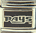 Licensed Baseball Tampa Bay Devil Rays