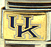 Kentucky Wildcats UK on Gold