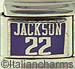 FINAL SALE Licensed Basketball Sacramento Kings J. Jackson 22
