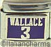 FINAL SALE Licensed Basketball Sacramento Kings Wallace 3