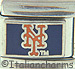 Licensed Baseball New York Mets Orange NY on Blue