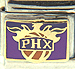 Licensed Basketball Phoenix Suns Logo on Purple