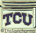Texas Christian TCU Horned Frogs