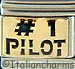 1 Pilot