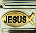 Jesus Text in Fish