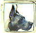 Black Great Dane