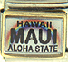 Hawaii Maui Aloha State License Plate