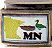 Minnesota Outline with MN