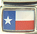 Texas State Flag