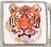 Tiger Head on white