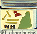 Light Green New Hampshire Outline with NH on Gold