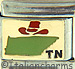 Light Green Tennessee Outline with TN on Gold