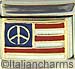 American Flag with Peace Sign