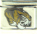 University of Missouri Tiger