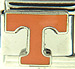 University of Tennessee org T steel