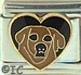 Golden Retriever in Black Heart